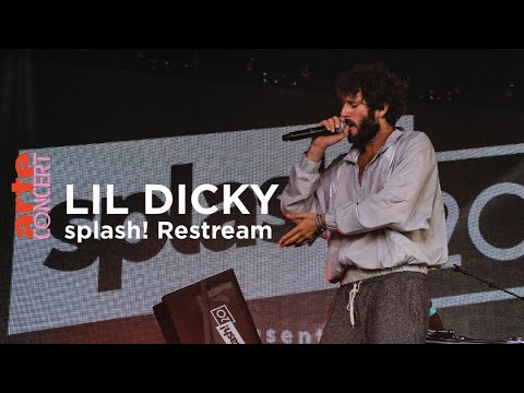 Lil Dicky @ splash! Festival 2017 - ARTE Concert