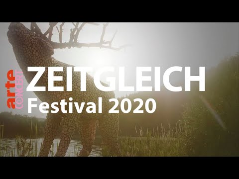 Zeitgleich Festival 2020 mit Joris, Meute, Mighty Oaks u.v.m. – ARTE Concert