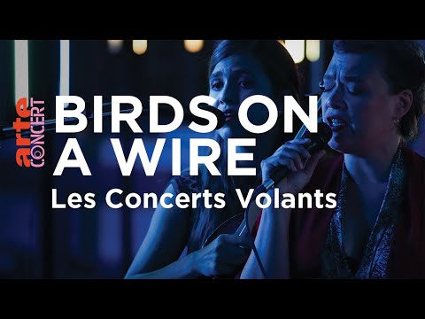 Birds on a Wire en Concerts Volants - ARTE Concert