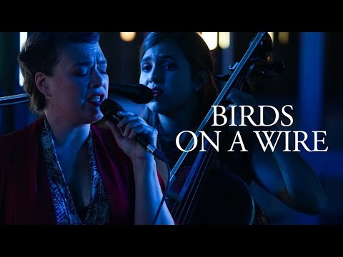 Birds on a Wire en Concerts Volants - ARTE