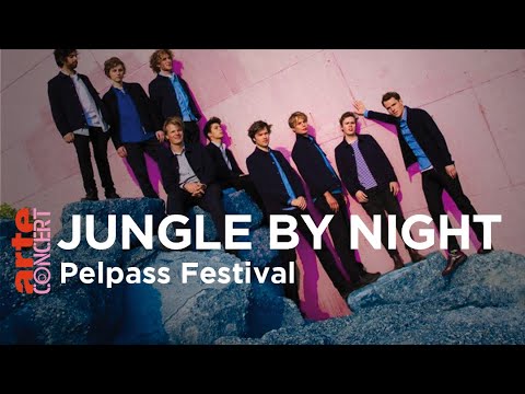 Jungle by Night - Pelpass Festival – ARTE Concert