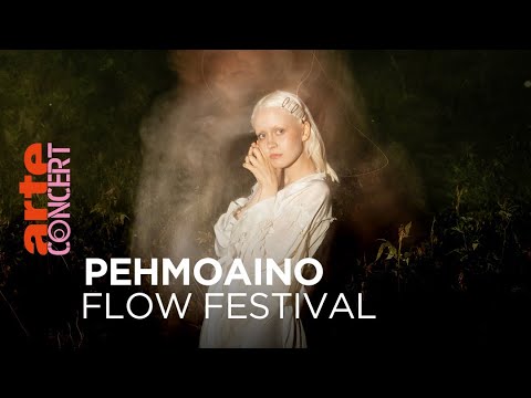 Pehmoaino - Flow Festival - ARTE Concert