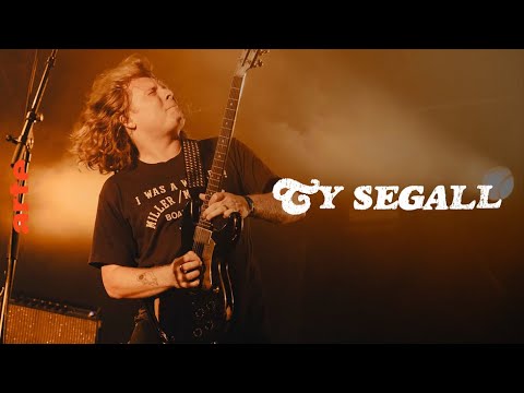 Ty Segall & Freedom Band - ARTE