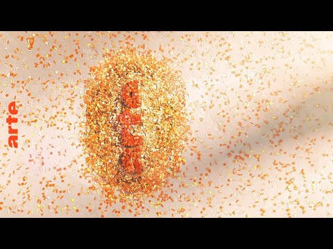 Opium Hum dans Chat with a DJ - ARTE