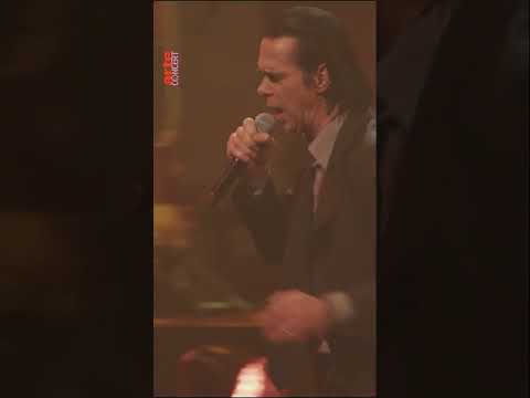 D-Day: Nick Cave & The Bad Seeds are coming to your screens for an incredible show – ARTE Concert