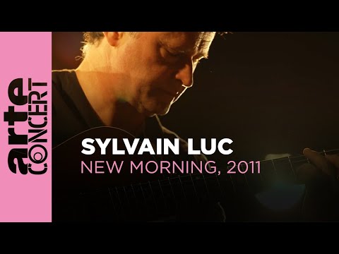 Sylvain Luc - New Morning, 2011 - ARTE Concert