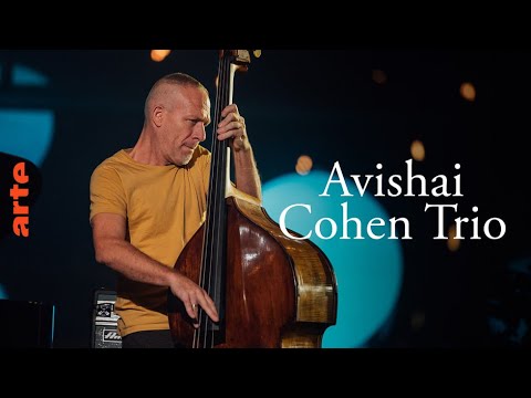 Avishai Cohen Trio - ARTE