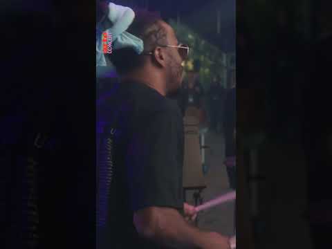 La harpiste Sophye Soliveau enchante le TSF Jazz Chantilly Festival #harpe  #jazz – ARTE Concert