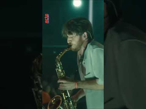 Thylacine fait voyager le public du ARTE Concert Festival 2022 #thylacine #electro – ARTE Concert