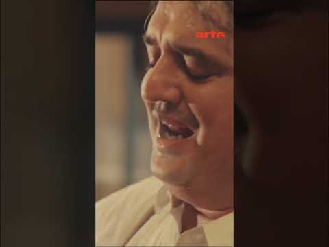 Peter Doherty & Carl Barât offrent une reprise du titre "Rock’n’Roll Suicide" de Bowie –ARTE Concert