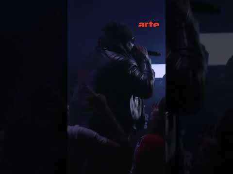En hommage à Calbo, revivez le concert exceptionnel d’Ärsenik avec son frère Lino #rap –ARTE Concert