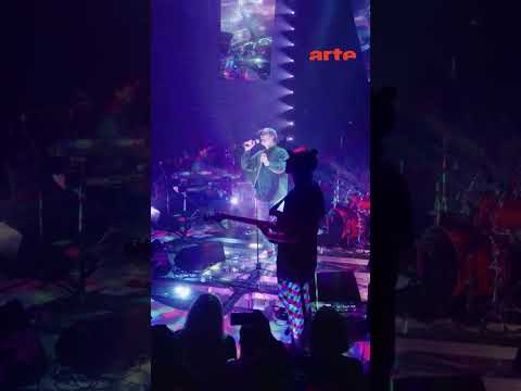 Mac DeMarco offre un concert intimiste au ARTE Concert Festival 2025 #macdemarco #live –ARTE Concert